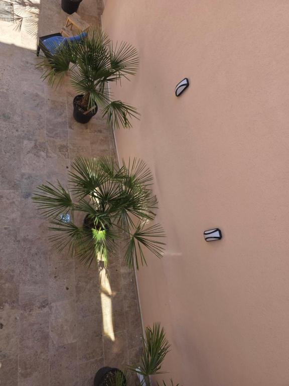 Apartament cu doua camere_1 (18)