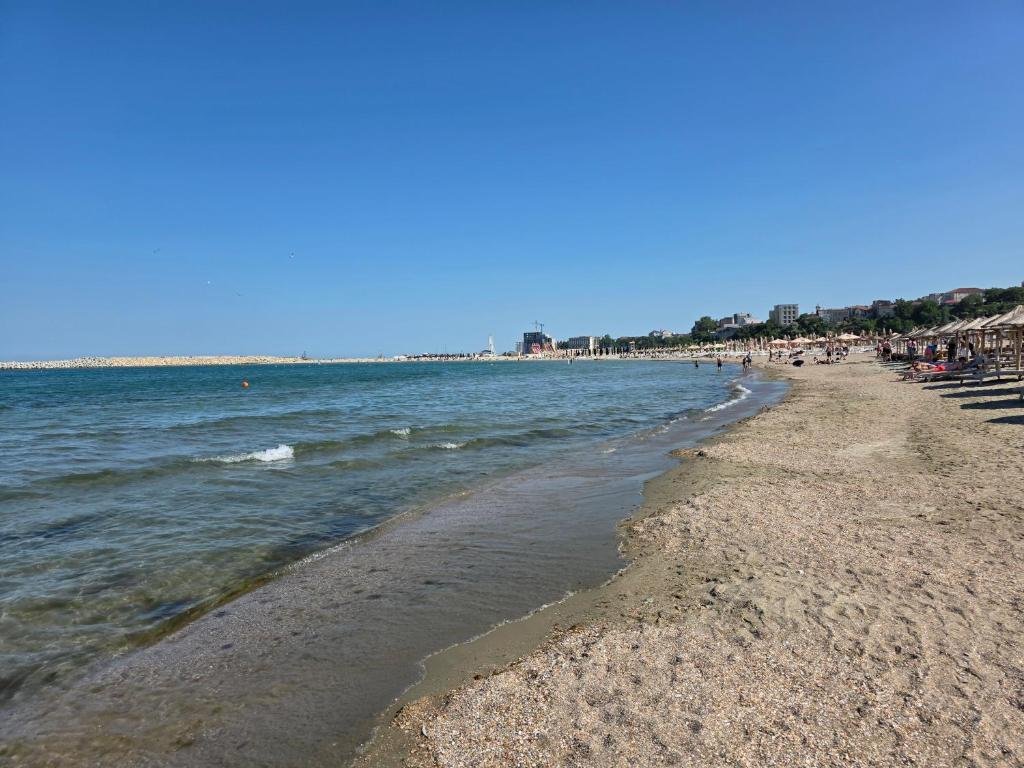 Apartament cu doua camere_1 (6)