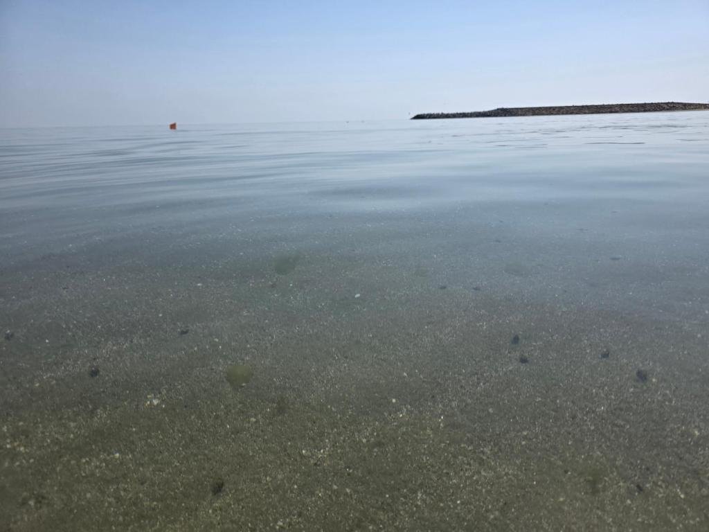 Apartament cu doua camere_2 (4)